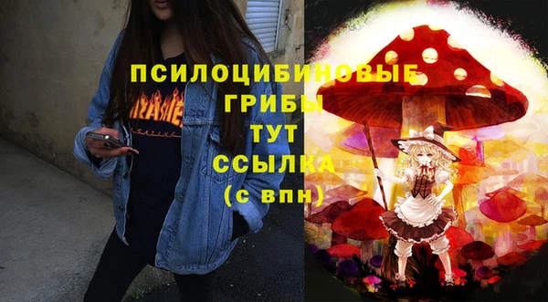 героин Алексин