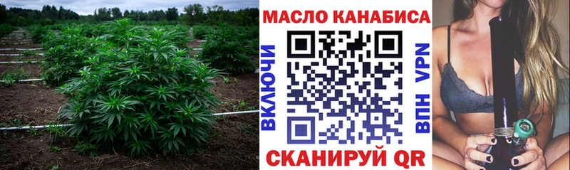 магазин    Шацк  omg как зайти  ТГК гашишное масло 
